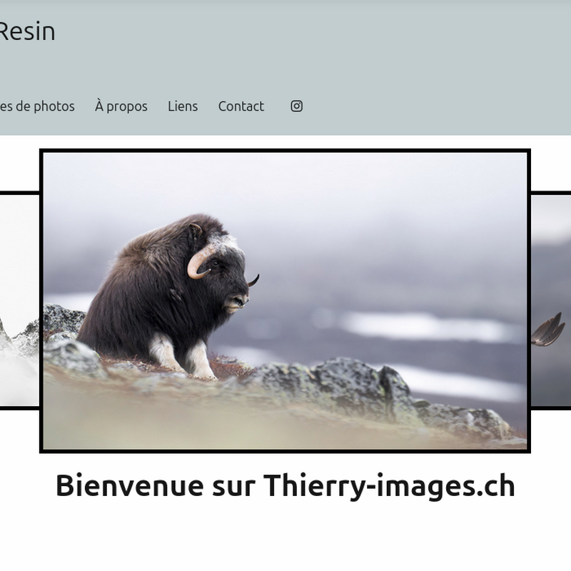 Thierry Images